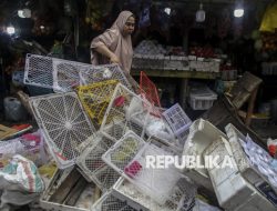 Meluber ke Bahu Jalan, Lapak Pedagang Buah di Ternate Ditertibkan Petugas