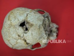Misteri Tengkorak di Plafon Dapur, Polisi Buru Jejak Pemilik Rumah Sebelumnya