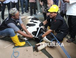 Pengurus Masjid Ikuti Pelatihan Penyembelihan Hewan Qurban