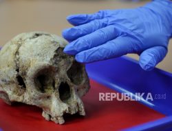 Tengkorak Ditemukan di Plafon Rumah Jaktim, Polisi Lakukan Penyelidikan