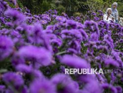 Geliat Wisata Kawasan Lembang di Momen Libur Panjang Waisak