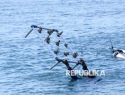 Pasukan Katak Lakukan Rehabilitasi Terumbu Karang di Pantai Bangsring