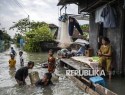 Puluhan Ribu Warga Demak Terdampak Banjir Luapan Sungai Tuntang