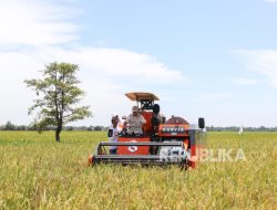 Produksi Beras Indonesia Diprediksi 34,6 Juta Ton, Tertinggi di ASEAN