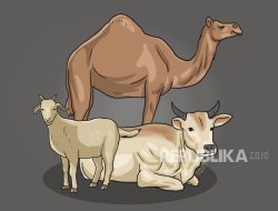 Tiga Hikmah Berkurban | Republika Online