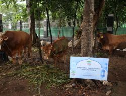 Asal Kata, Makna, dan Istilah Kurban