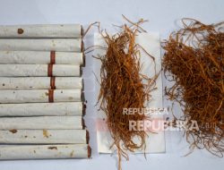 Sejarah Rokok: Bermula dari Petualangan Columbus di Kuba