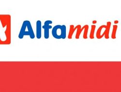 Alfamidi Catat Laba Rp 546 Miliar di 2024, Pendapatan Tumbuh Dua Digit