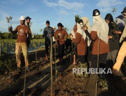 Konservasi Habitat Burung Migran DInilai Lindungi Ekosistem