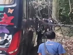 Viral Bus Terobos Jalan Terlarang di Lembang hingga Tersangkut Kabel Udara