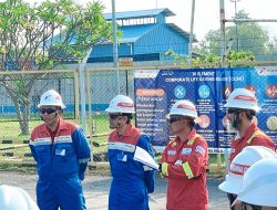 Pertamina EP Gandeng BASF, Olah Gas Tinggi CO2 di Lapangan Akasia Bagus
