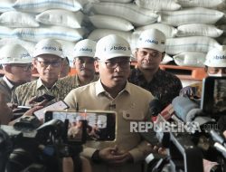 Jamin Kualitas Beras, Wamentan: Kualitas Tak Perlu Dikhawatirkan