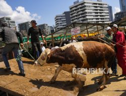 Khutbah Idul Adha: Mencari Keteladanan Nabi Ibrahim dan Ismail dalam Diri Manusia