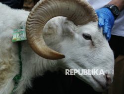 Hari Raya Kurban, Khotib Id di PBNU: Idul Adha Pelajaran Berempati kepada Saudara