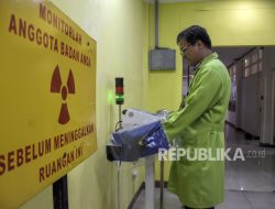 Indonesia Bakal Punya Pembangkit Listrik Tenaga Nuklir, Masuk Kelompok EBT