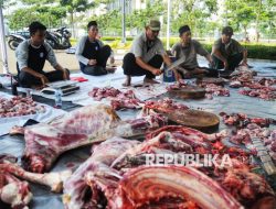Cara Simpan Daging Kurban Biar Awet Sampai Setahun