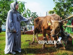 Masjid At-Thohir Sembelih 25 Hewan Kurban, Momen Berbagi untuk Sesama