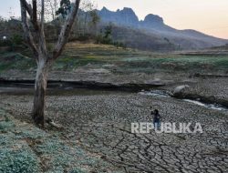 Pemerintah Diminta Libatkan Publik dalam Penyusunan Aksi Iklim