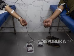 41 Persen Pasien Gagal Ginjal di Gaza Syahid