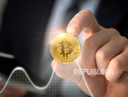 Indodax Setorkan Pajak Rp265,4 Miliar Selama Januari-Agustus 2025