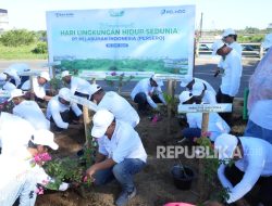 Peringati Hari Lingkungan Hidup, Pelindo Tanam 40 Ribu Pohon Serentak