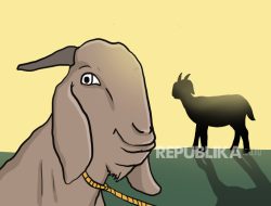 Saudi Permudah Layanan Kurban Haji Digital