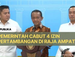 Pemerintah Cabut 4 Izin Pertambangan di Raja Ampat