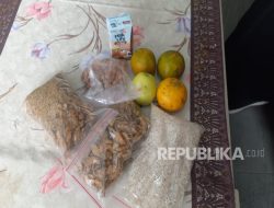 Sepekan Terakhir, Ratusan Siswa di Jateng Diduga Keracunan Program MBG