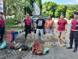 Polisi Bongkar Lokasi Arena Sabung Ayam di Pasar Kemis, Tangerang