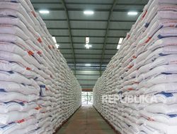 Produksi Beras Naik 14 Persen, Stok Nasional Tembus 4 Juta Ton