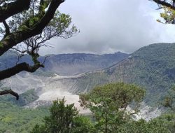 Badan Geologi Ungkap Status Terkini Gunung Tangkuban Parahu Ditengah Naiknya Aktivitas Kegempaan