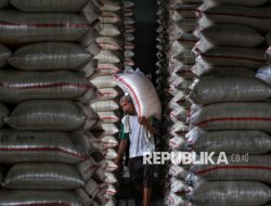 Pengamat Ungkap Ada Ketimpangan Harga di Sektor Perberasan