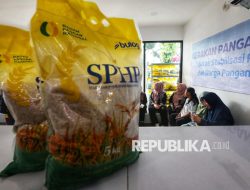 Stok Beras SPHP Digelontorkan, Segini Harga Jual di Pasar