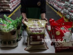 Kenali Aturan Mutu Beras Premium, Jangan Sampai Tertipu Label