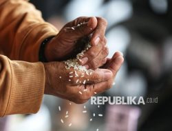 Soal Polemik Beras Premium, Kepala NFA: Ini Untuk Memperbaiki Sistem