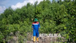 Duta Lingkungan NTB Ajak Warga Tetap Jaga Hutan