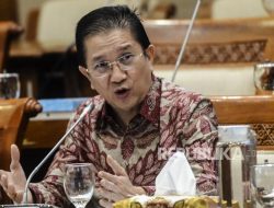 Freeport Ungkap Kualitas Tembaga Indonesia Dipuji oleh Trump