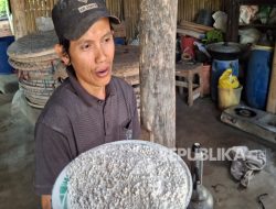 Belajar Ketahanan Pangan Ala Kampung Adat Cireundeu, Dibalik Hebohnya Beras Oplosan