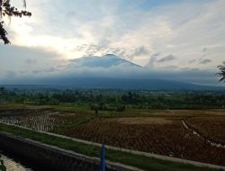 Ratusan Pendaki Nikmati Liburan di Puncak Ciremai