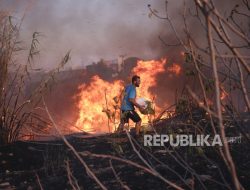 Kebakaran Lahan di Athena dan Selatan Prancis Padam, Ribuan Hektare Hangus