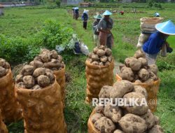 Svarna Bhumi Award 2025 Dorong Keberlanjutan Pertanian dan Regenerasi Petani