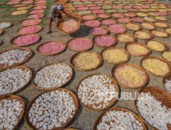Realisasi KUR Tembus Rp163 Triliun, Lebih dari Separuh Target 2025