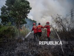 Kebakaran Lahan di Dekat Tol Palindra Berhasil Dipadamkan