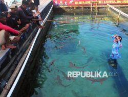 Jepara Gandeng Swasta Perbaiki Pelabuhan Penyeberangan ke Karimunjawa