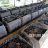 Perdagangan Indonesia-Uni Eropa Diprediksi Surplus Usai I-EU CEPA