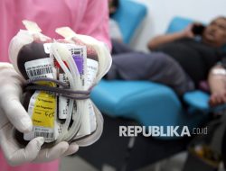 BRI Insurance Perkuat Komitmen Sosial lewat Donor Darah