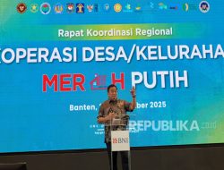 Begini Alur Koperasi Merah Putih Jika Hendak Peroleh Pinjaman Modal dari Himbara