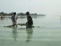 Jadi Kampung Zakat, Pulau Tidung Dorong Ekonomi Warga Lewat Wakaf Produktif