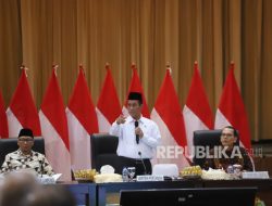 Berpihak pada Petani, Pemerintah Terbitkan Aturan Pembatasan Impor Ubi Kayu dan Etanol