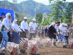 Kolaborasi DPD dan Kementan untuk Tingkatkan Produksi Jagung